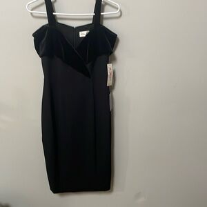Eliza j size 2 formal black mini dress